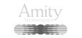 amitytech