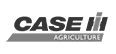 caseih